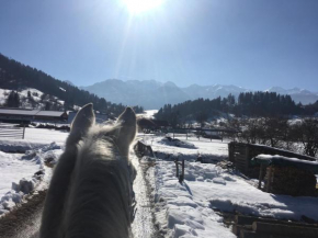 Ranch Bohinj